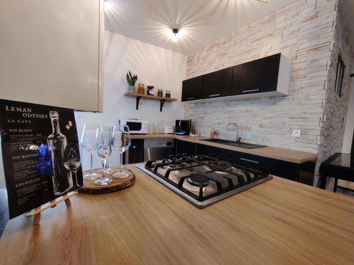 Appartement Hyper Centre Evian - Leman Odyssey Eksteriør bilde